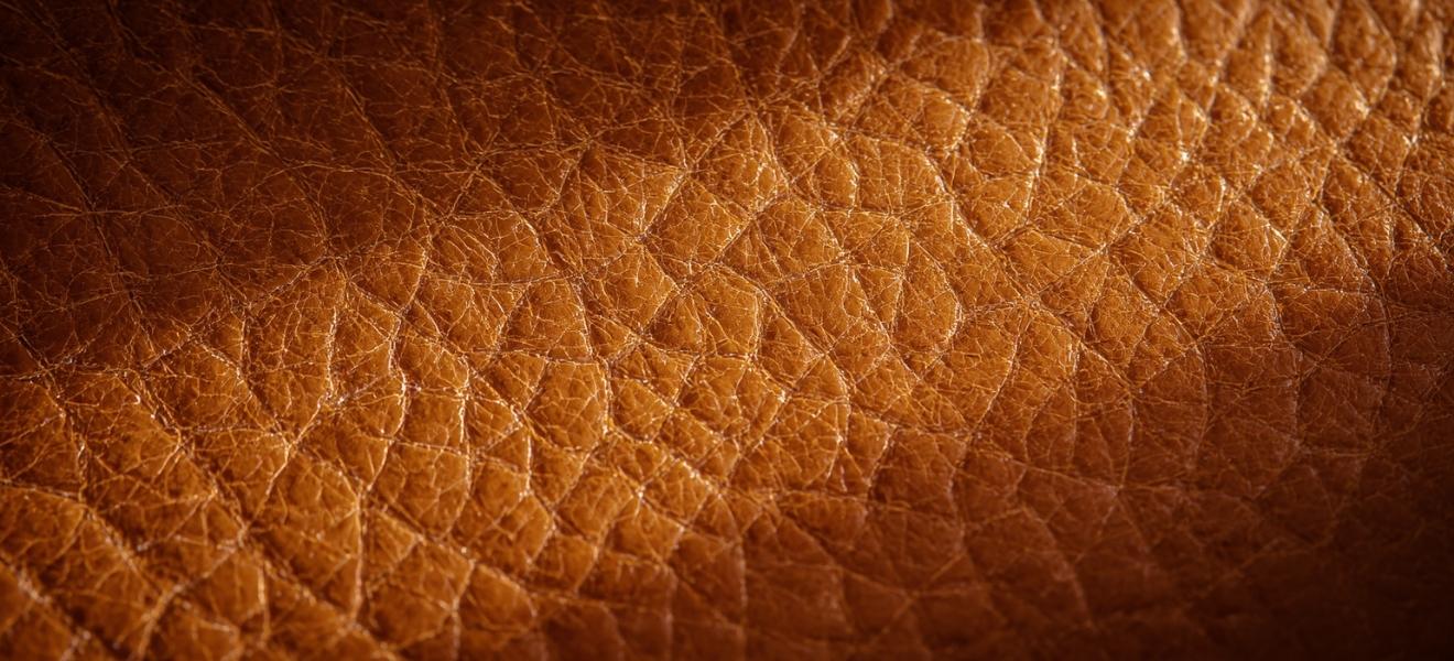 genarbtes Leder in Sonnenlicht