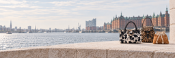 New