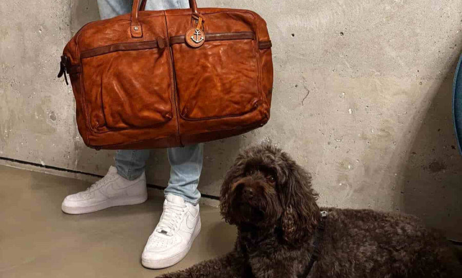Man und Hund mit Reisetasche aus Leder Modell Theron in Cognac